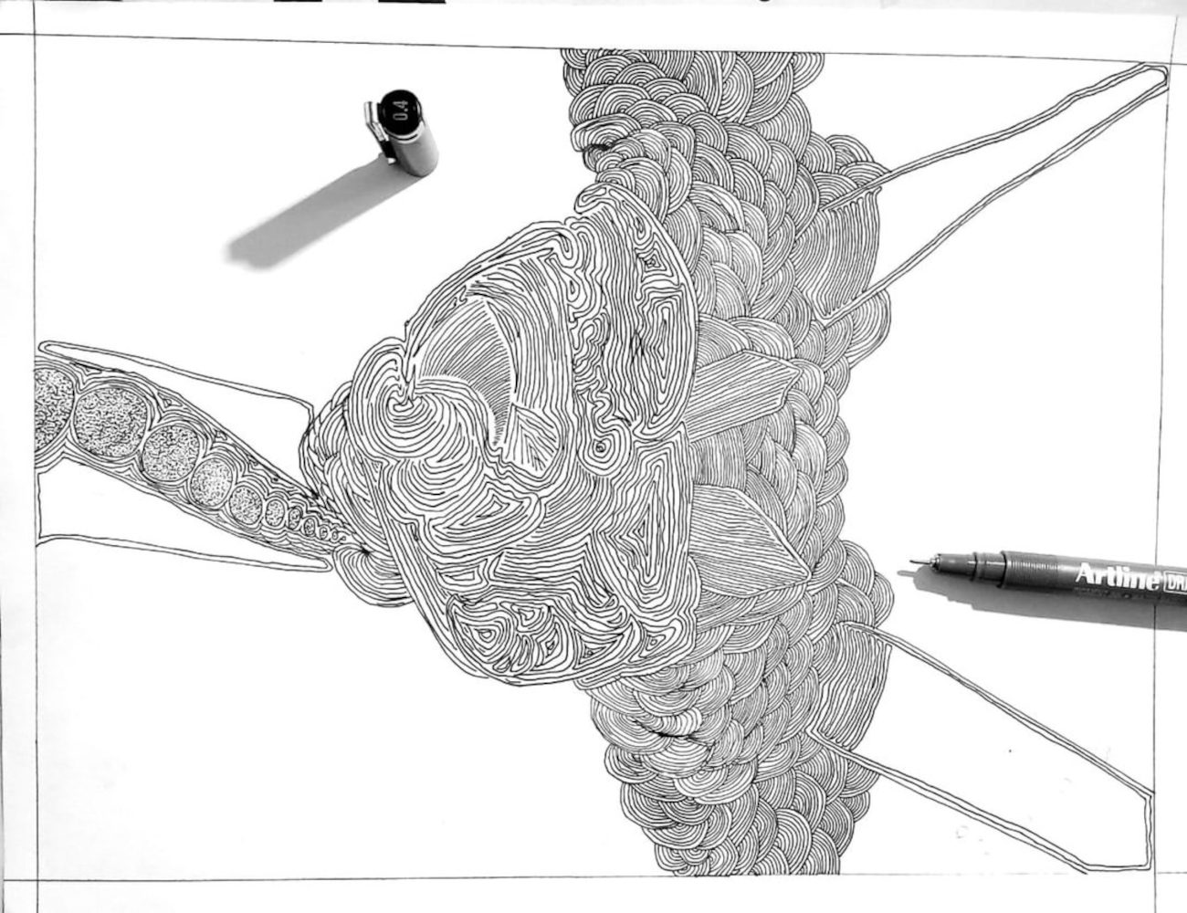 An ink illustration of an insect head in progress, drawing pens resting on the page
